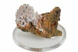 Crocoite Crystals On Gibbsite - Adelaide Mine, Tasmania #147969-1